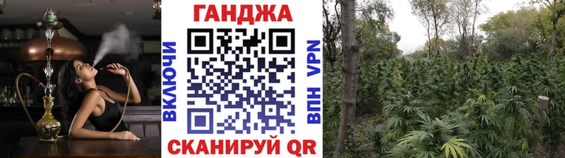 сколько стоит  Заволжск  Конопля SATIVA & INDICA 
